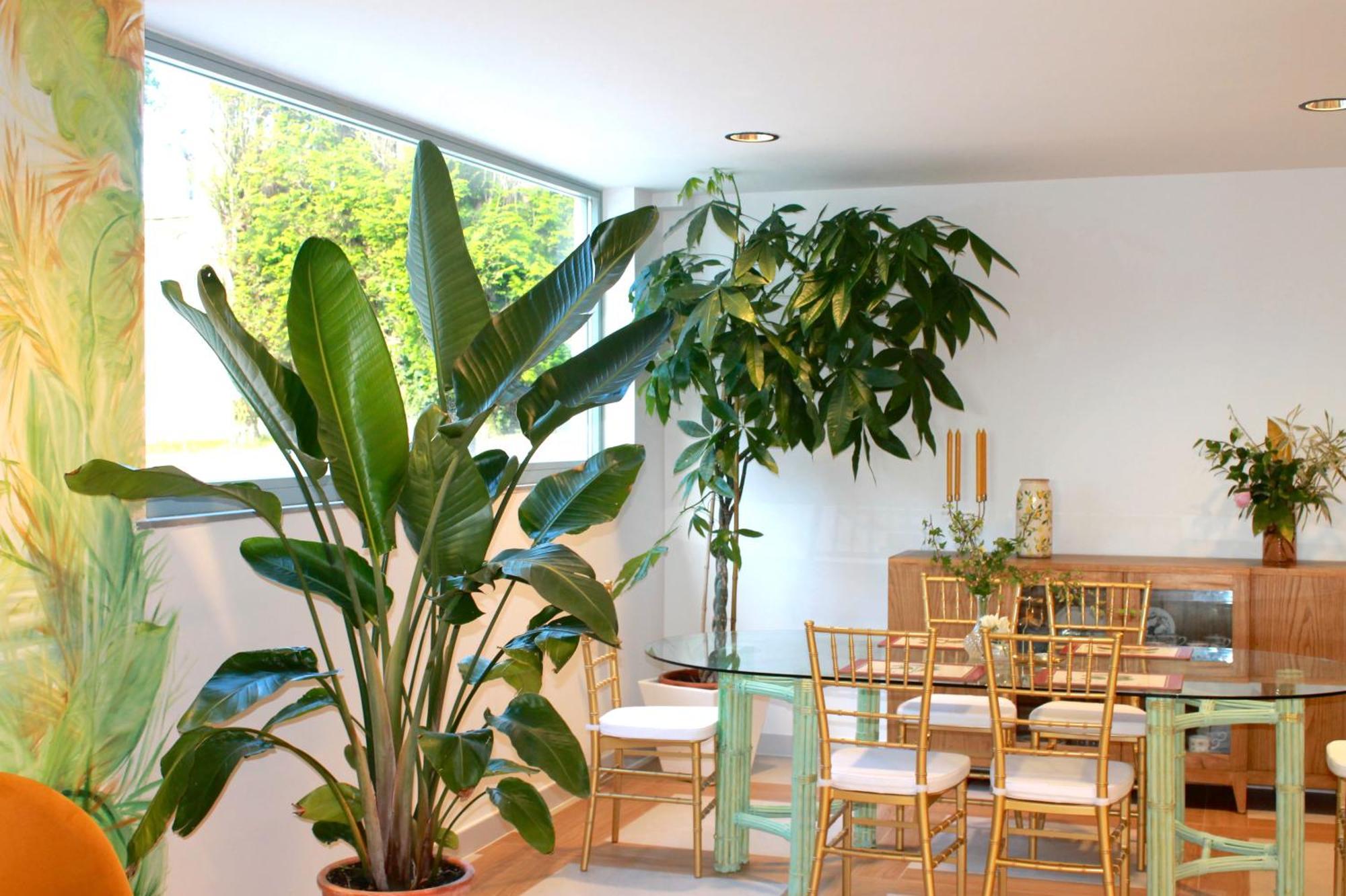 Hotel Boutique Villa Del Marques Muros de Nalón Exteriör bild